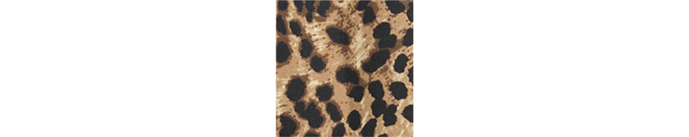 Leopard-print satin shirt - Image 6