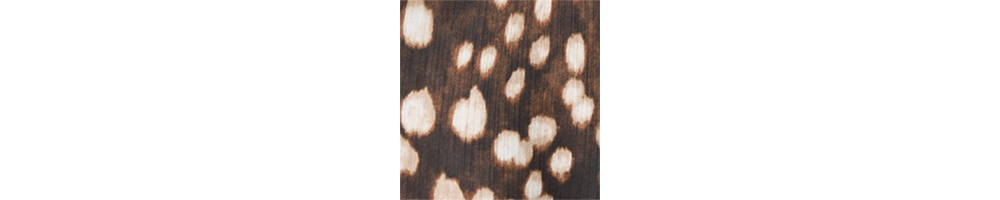 Straight Bambi shirt - Image 6