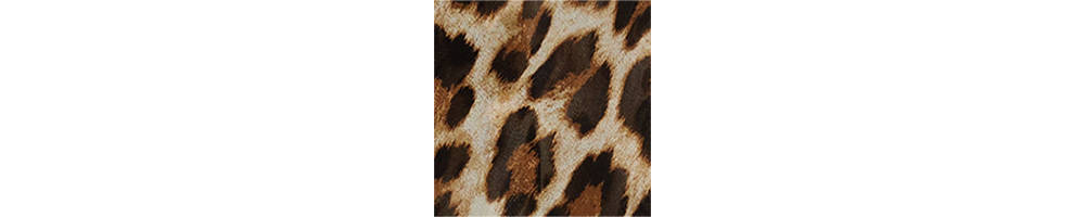 Leopard print blouse - Image 6